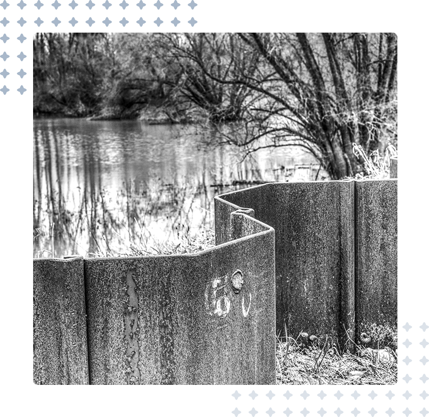 A black and white photo of trees next to water.