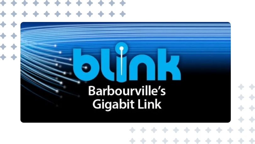 A blue and black logo for the blink network.